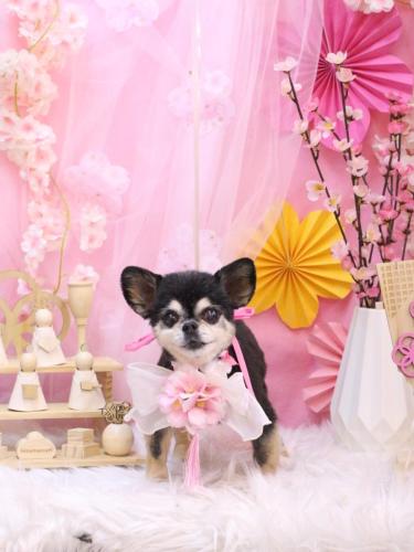 20250320モカちゃん